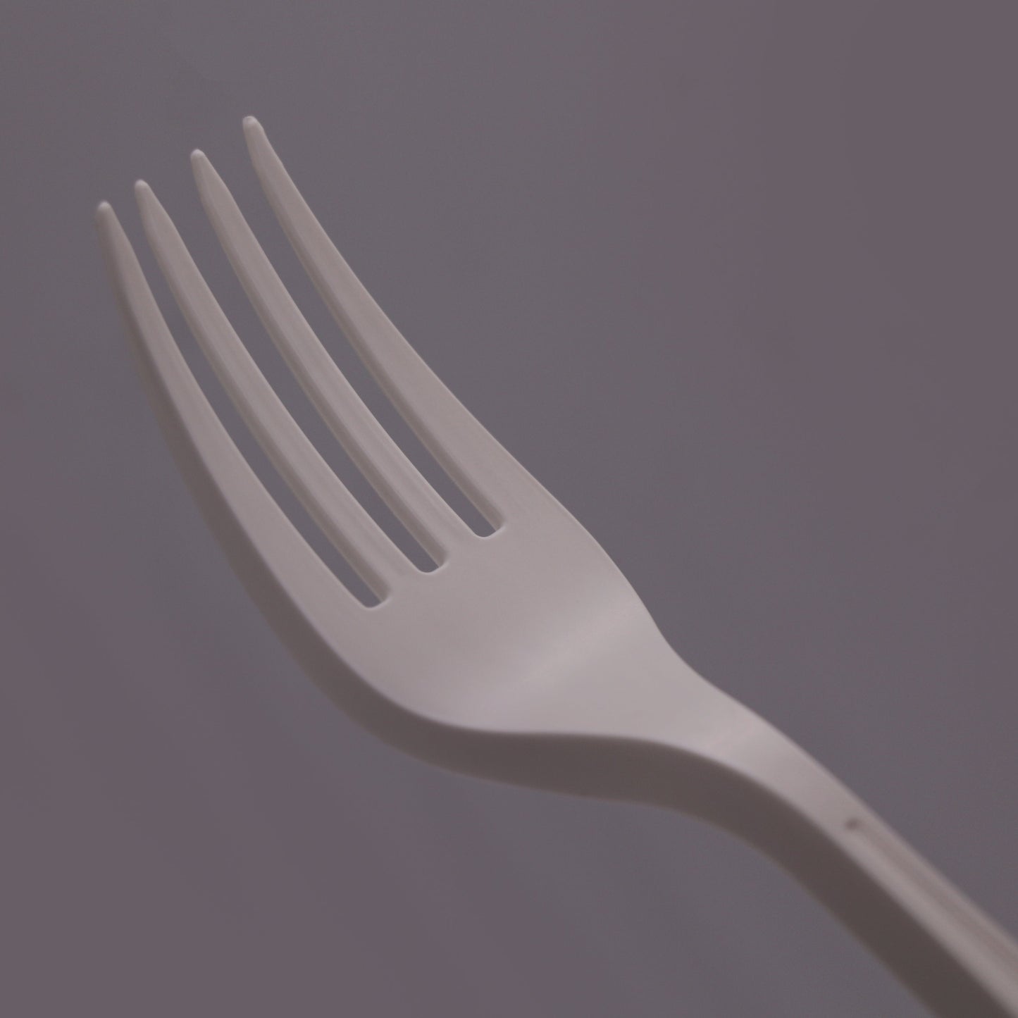 Premium Biodegradable Forks [Pack of 25]